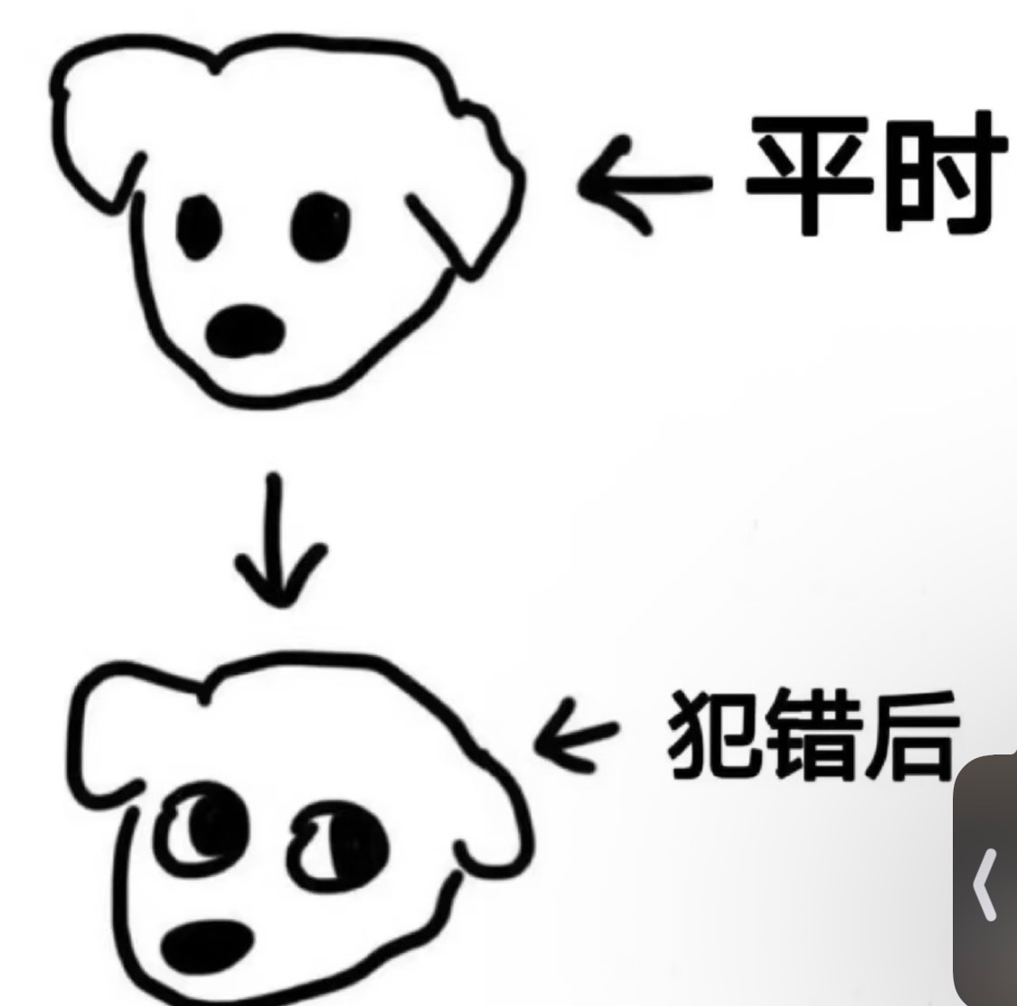 小笨故意盯镜头叼着牙线玩儿的眼神be like 