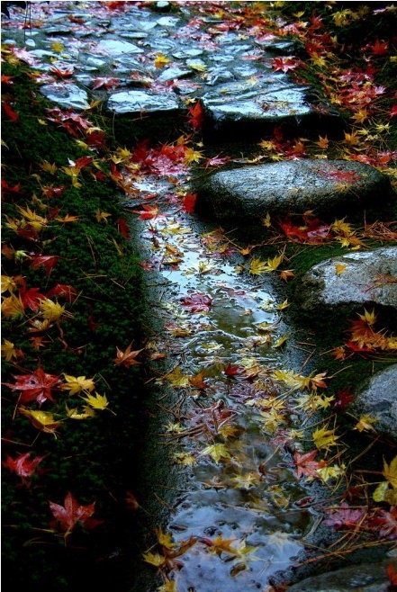 简单，天真，纯洁，这些东西在真实的生活中，其实根本就不靠谱。靠谱的是：复杂之后的