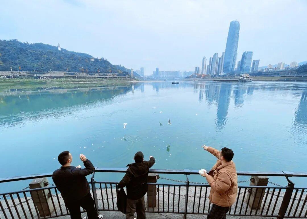 【“合江门封闭，宠物鱼饿肚子怎么办？”】最近让宜宾人沸腾的两个消息：①总台202