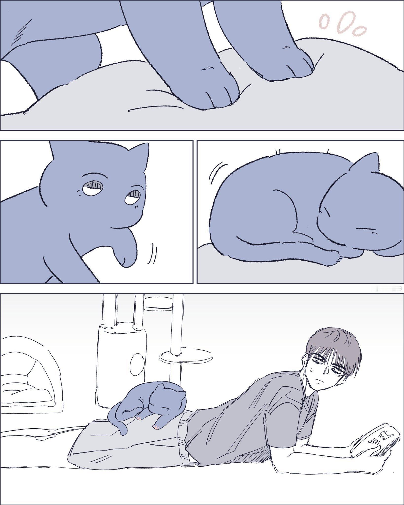 🐈：“这个肉垫不错，就它了” 