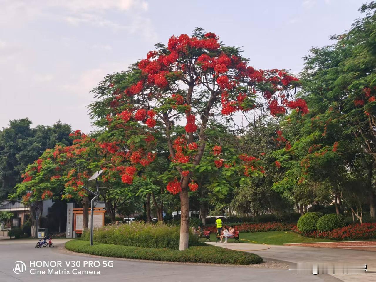 龙腾四海祥云起，
春回大地万象新。
龙腾四海祥云起，
春暖九州景色妍。
友友请出