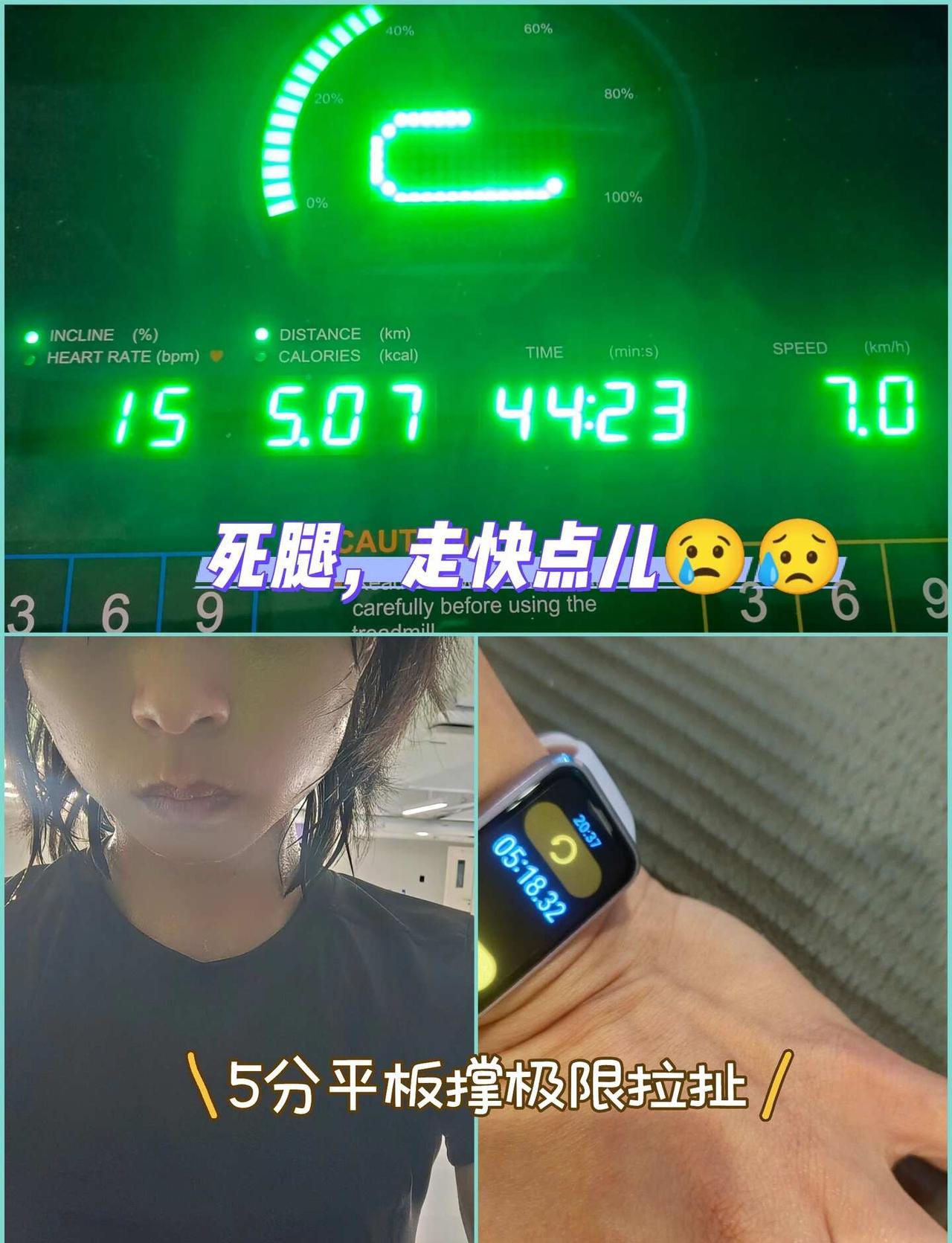 一些小美好正在井然有序地发生着
运动打卡  想瘦就爬坡 生命不停运动不止 流汗不