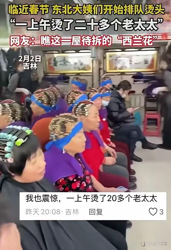 笑不活了！吉林，一位理发店老板在网上吐槽，临近过年老太太们都出来烫头发了，仅仅一