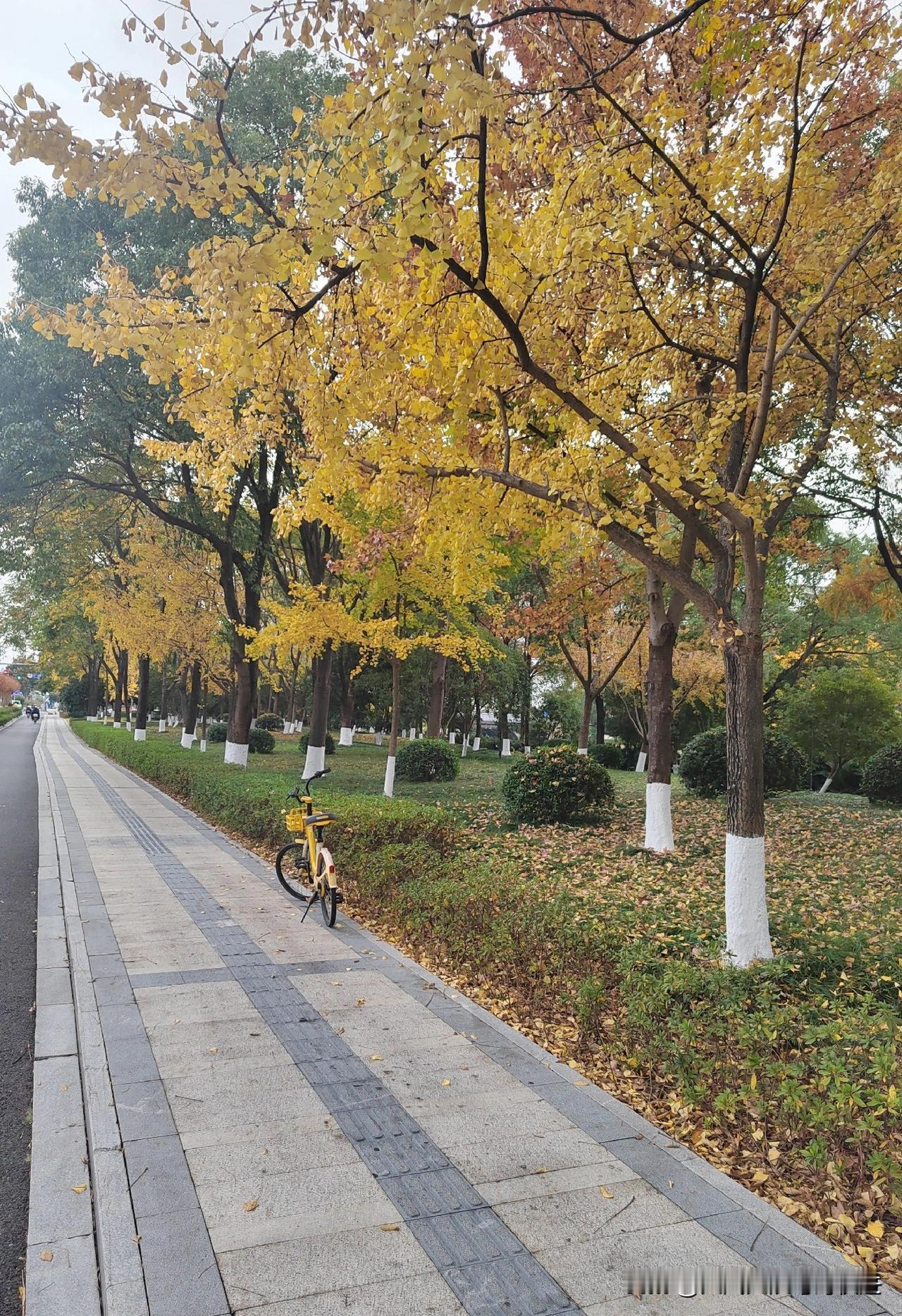 网友们，你们所在地是否也已入冬？