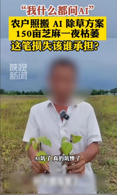 “亏惨了！”8月2日报道，安徽，一男子种了150亩芝麻，除草的时候，他照搬了AI