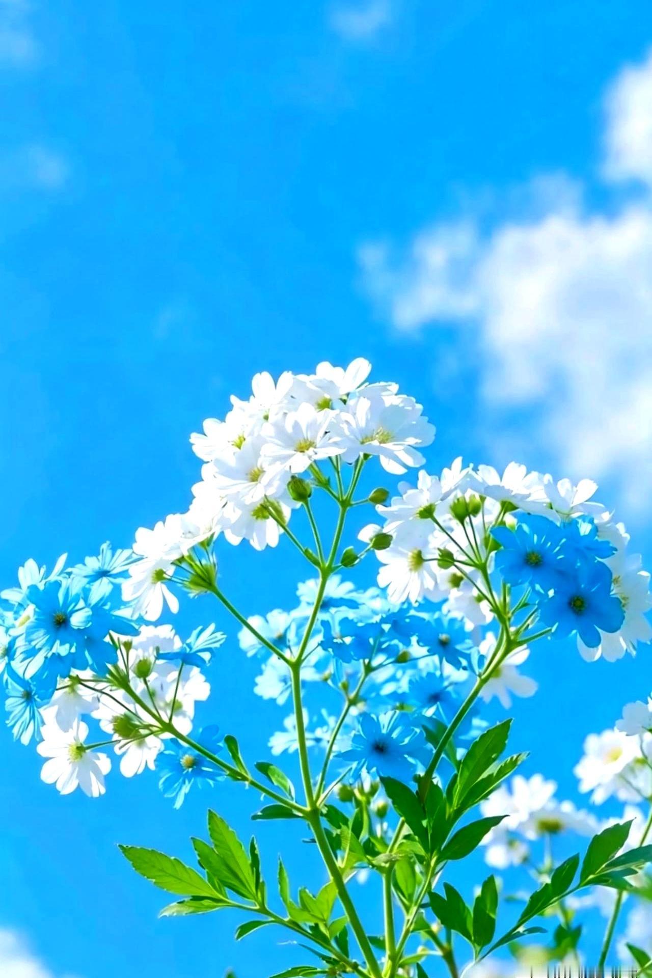 真别四处求好运了，说白了，一个家旺不旺，全藏在日常的烟火气里。
不信你瞅瞅这三样