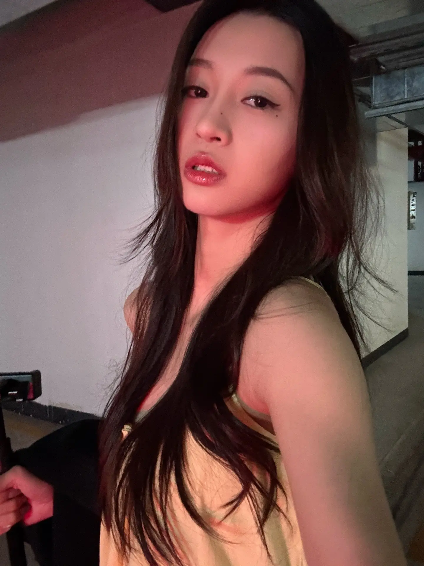 小狗过来