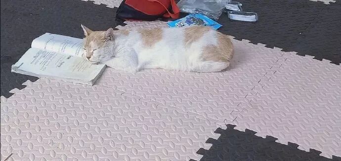 事实证明数学的确有助于睡眠 