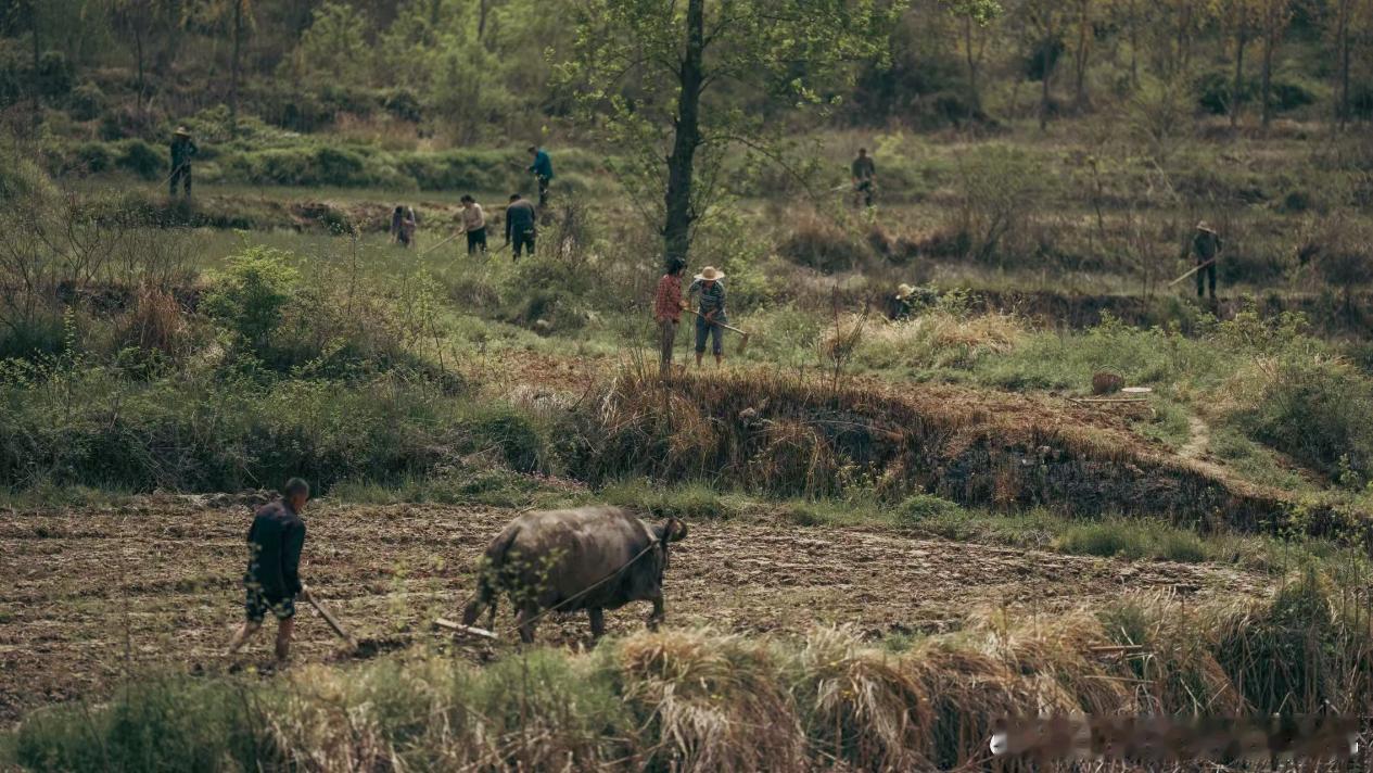 桃花红了 院线电影《桃花红了》圆满杀青  影片以改革开放浪潮为时代背景，聚焦桐柏