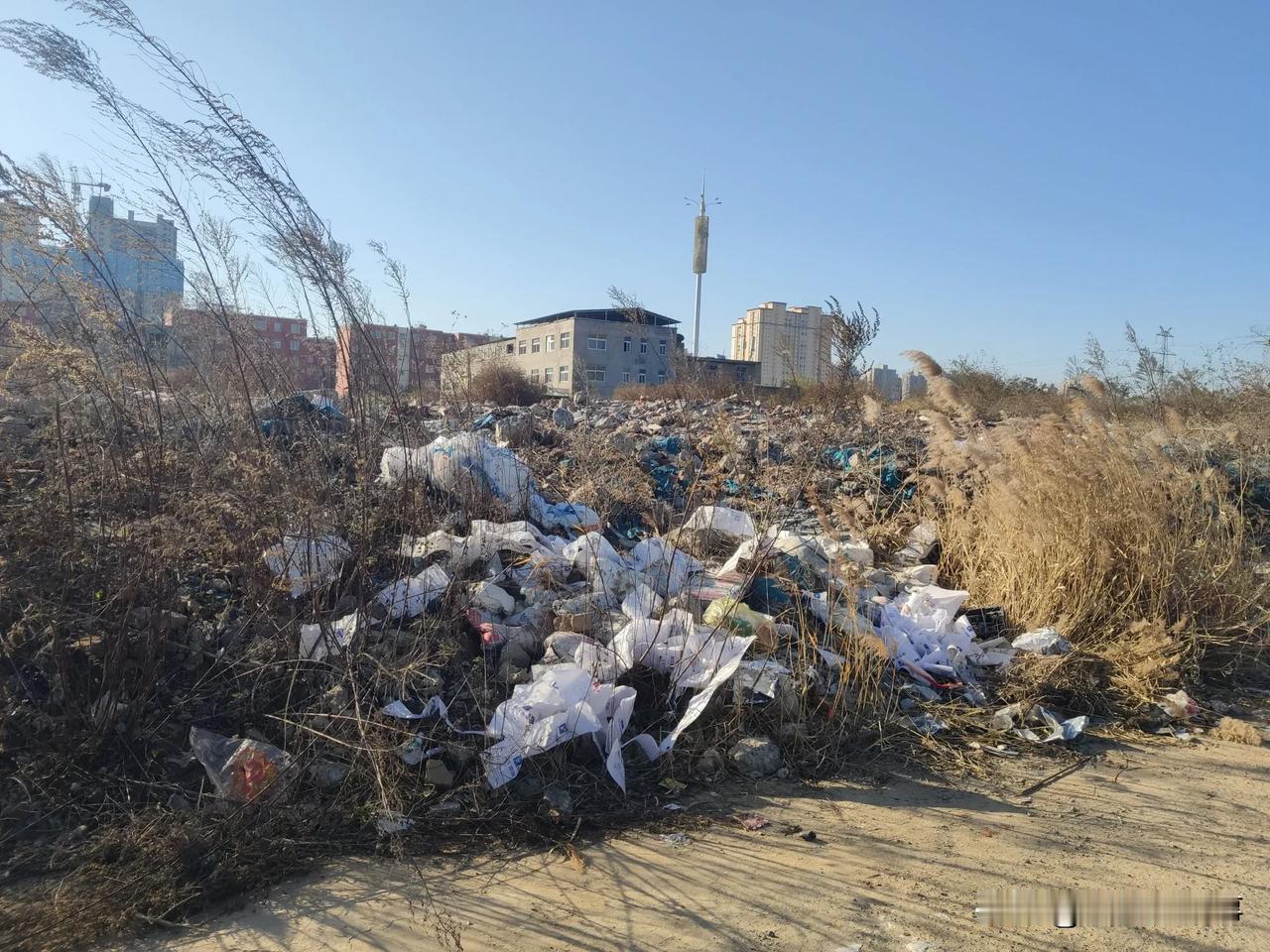 以前人口稠密的郑州市中原区城中村后仓村，经过大拆大建拆迁后，如今变成了荒草园和建