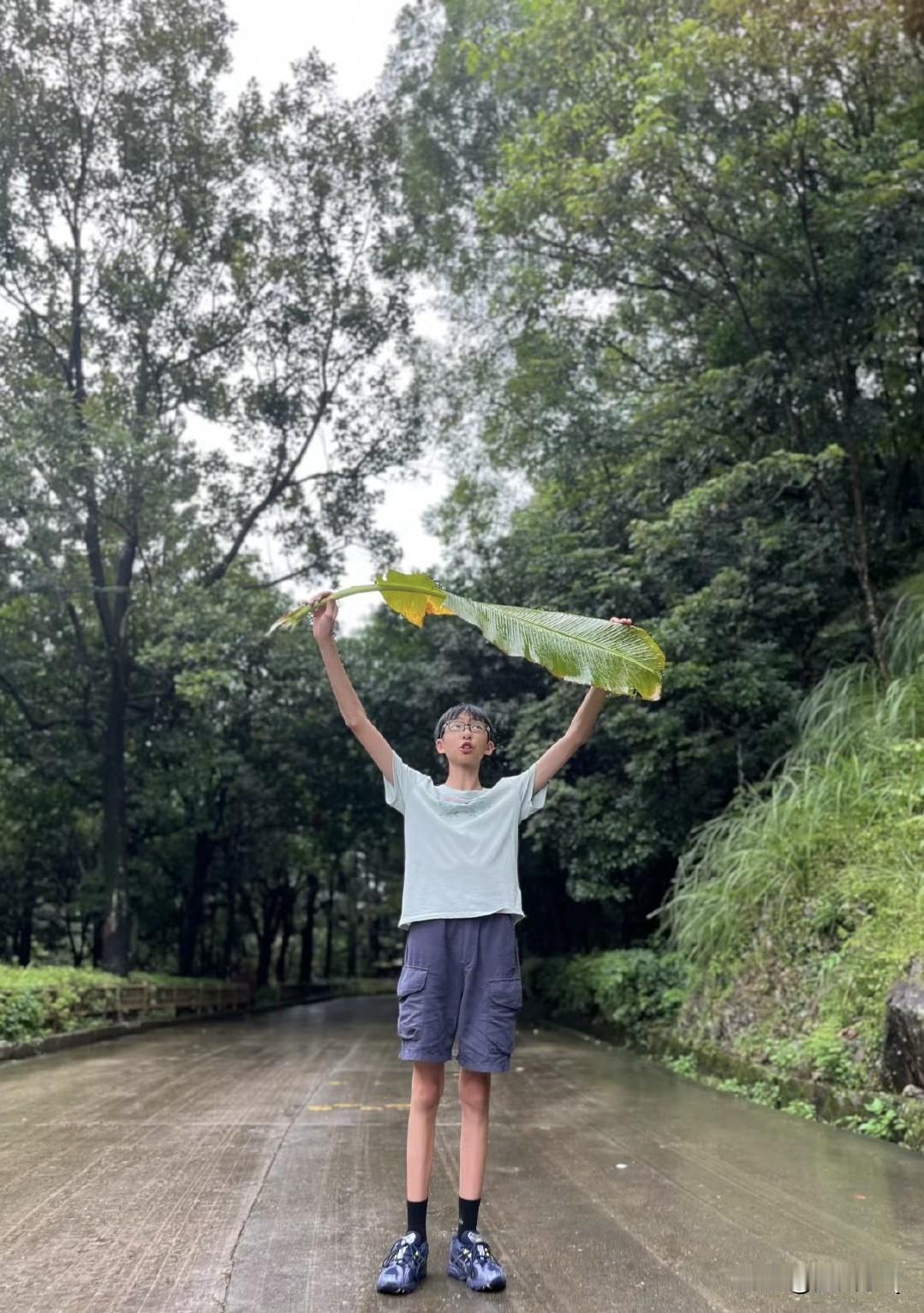 演员姚晨的儿子土豆竟然有如此爱好，老母亲后半生的养生生活就靠他了。土豆热衷于中草