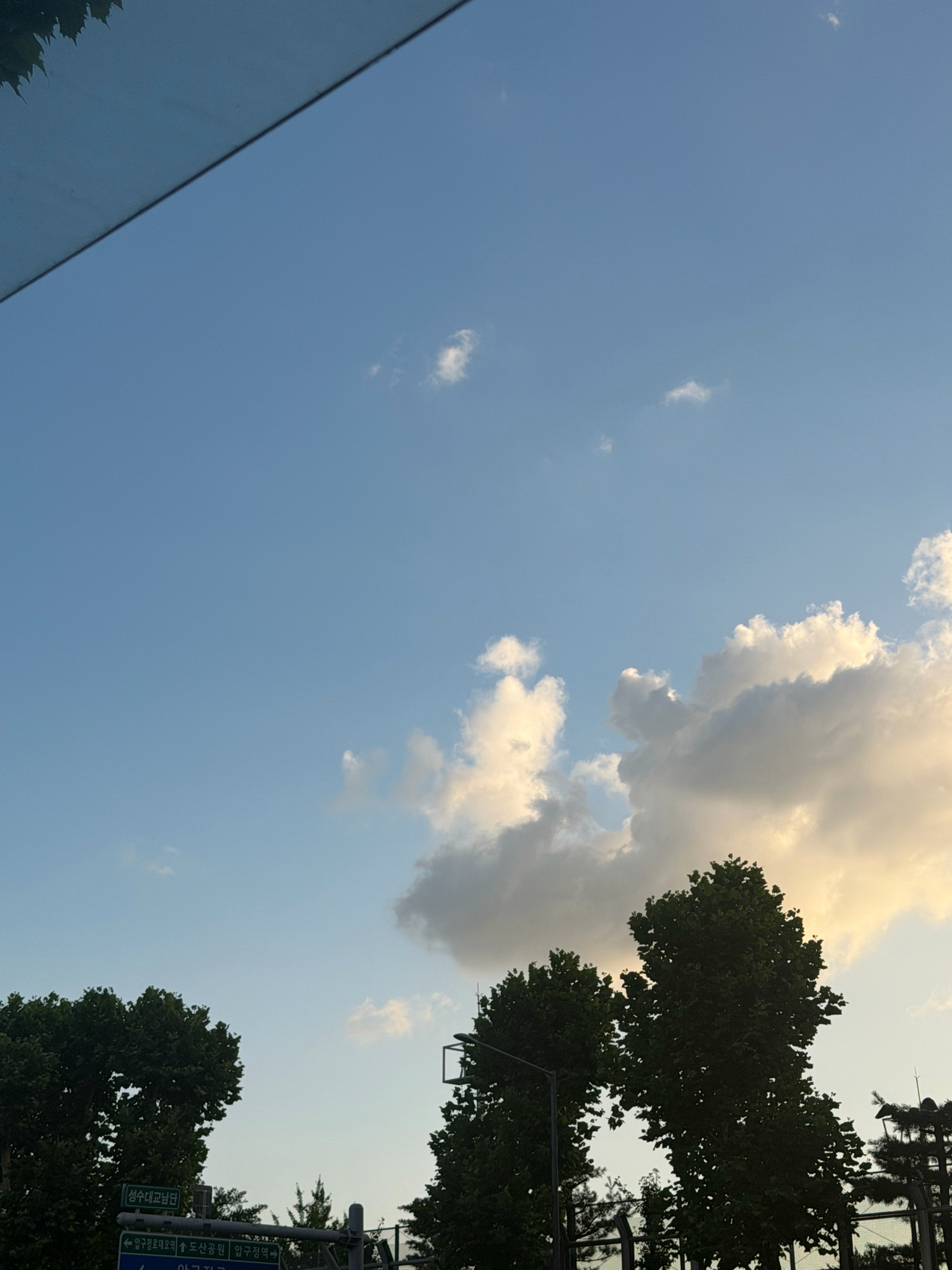 允植来信 “今天天空很美”细腻的猪猪
