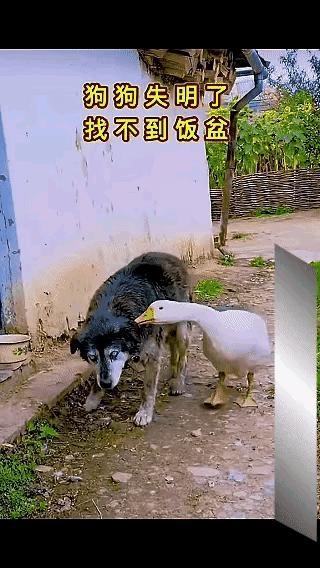 它俩什么时候关系这么好的[思考]