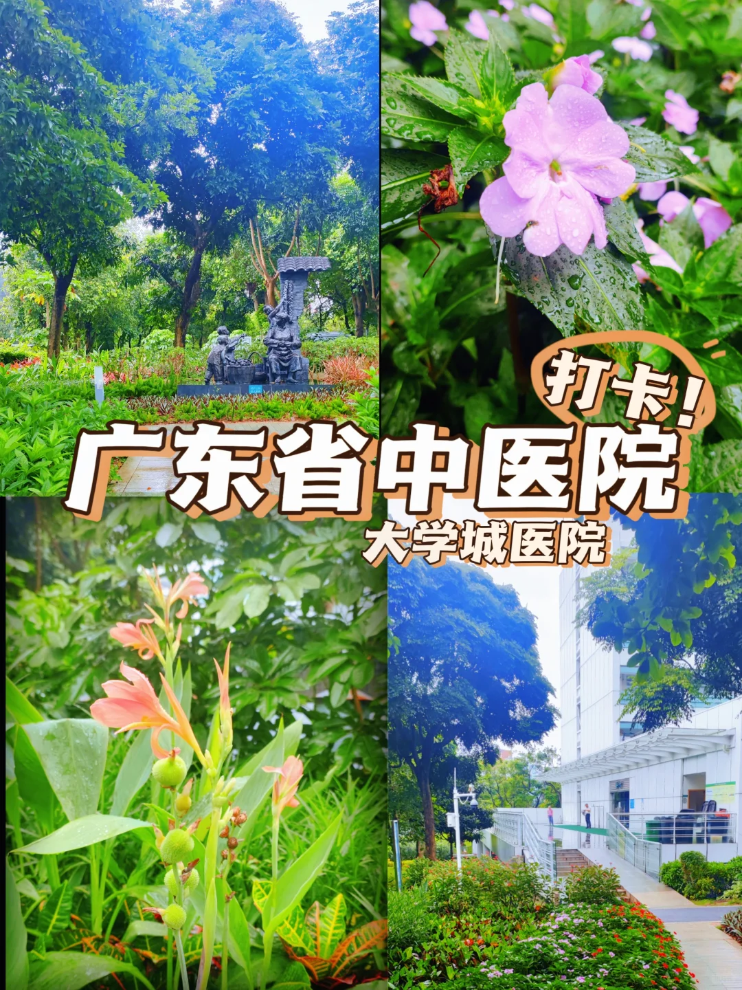 跟着中医院学养生，把自己重新养一遍