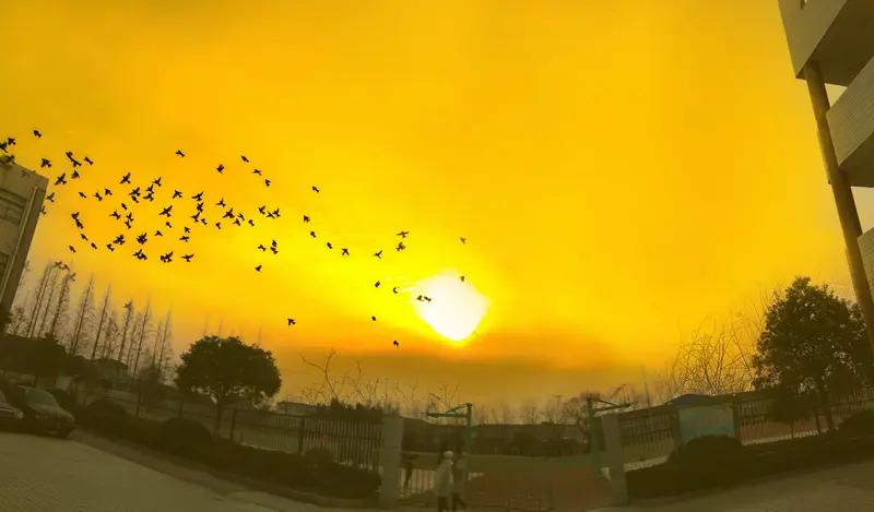 如果时光倒流，我要回到幼儿时期。那时没有作业和考试压力，能在蓝天下和小伙伴尽情打