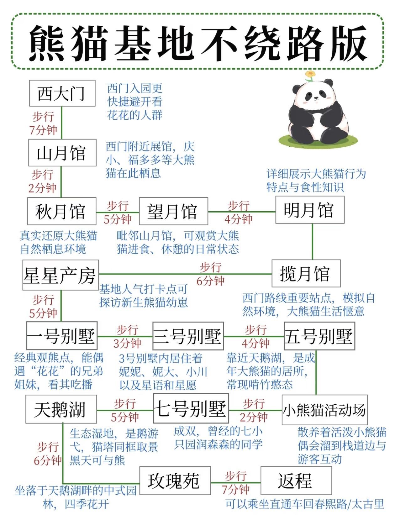 成都熊猫基地～不绕路版攻略，顺序千万别搞反了[灵光一闪]