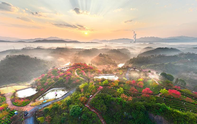 读《近思录》之3.26　

学者不泥文义者，又全背却远去；理会文义者，又滞泥不通