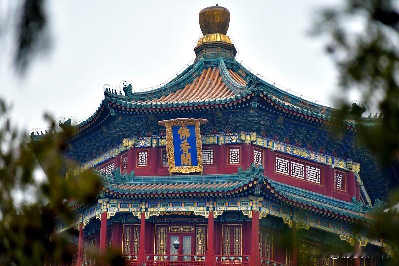 亲测走北宫门进的路线真的能省一半力气，完全不用绕冤枉路。
进门直接爬几十级台阶到