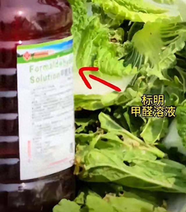 甲醛白菜“不得不泡”？冷藏保鲜每斤多3毛，远没到吃不起的地步