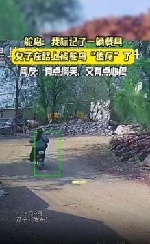 离谱又好笑！辽宁一女子骑电动车惨遭鸵鸟追尾，监控完整曝光，鸵鸟撞击后迅速逃窜，女