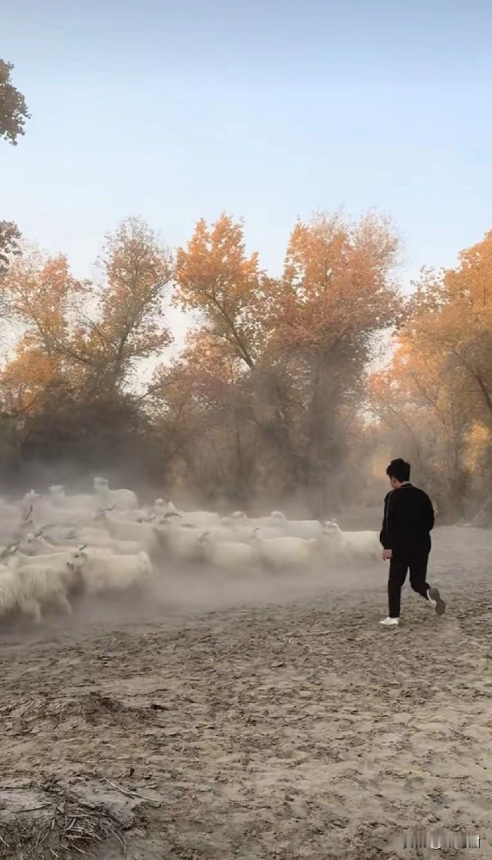 现在网上养眼的主播不少，但他，绝对是独一份。
 
你看他有时候像个幼童，对啥都好