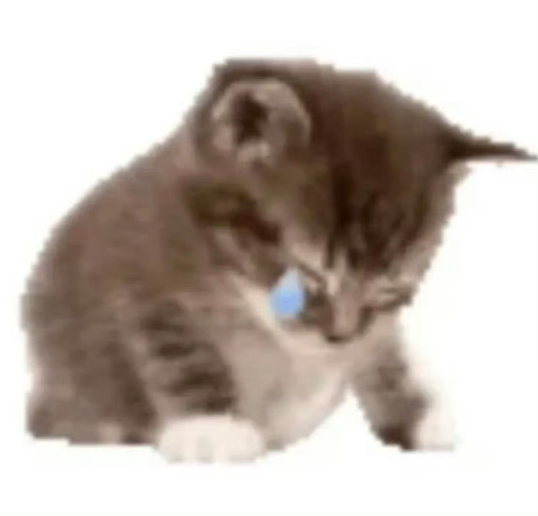 王俊凯可不可以唱《想见你想见你想见你》给我听得大晚上泪水😿打湿枕头 
