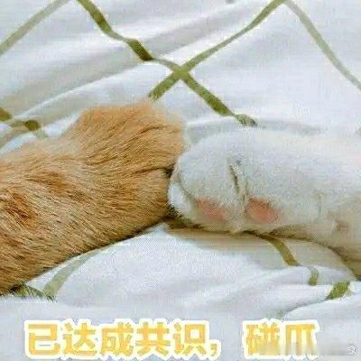 小孩子的社交不谈感情全是事情小朋友之间的友谊没有成年人那么多感性的表达，不会纠结