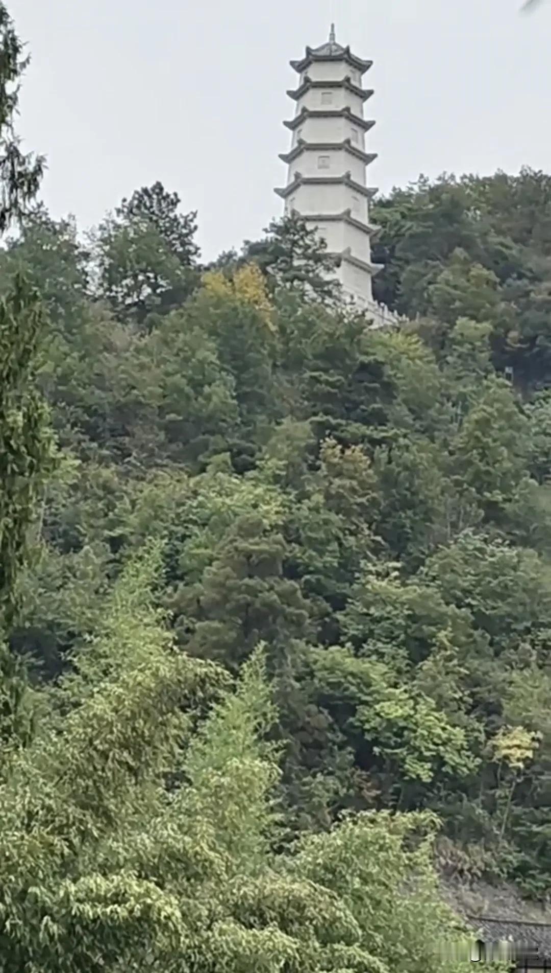 学会知足，学会低调，这个世上总有不如你的人，也有比你强的人，当你抱怨饭菜差的时候