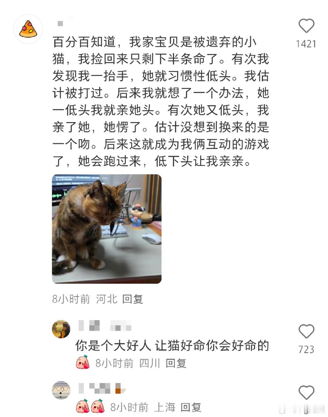 猫知道亲她是喜欢她吗❓ ​​​