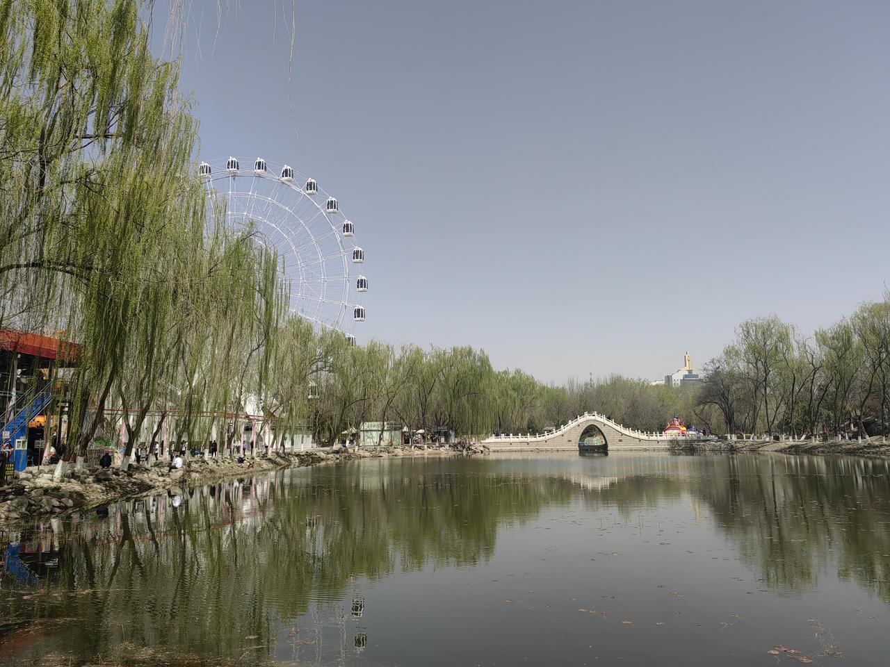 4月初，银川中山公园简直是一幅绝美的春日画卷。园里的桃花、杏花竞相绽放，粉的像霞