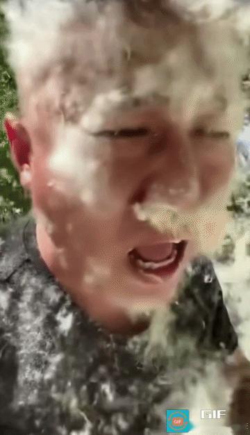 潍坊，值得全国抄作业！
 
一到春夏，漫天杨絮漫天飞舞，过敏打喷嚏、出门睁不开眼