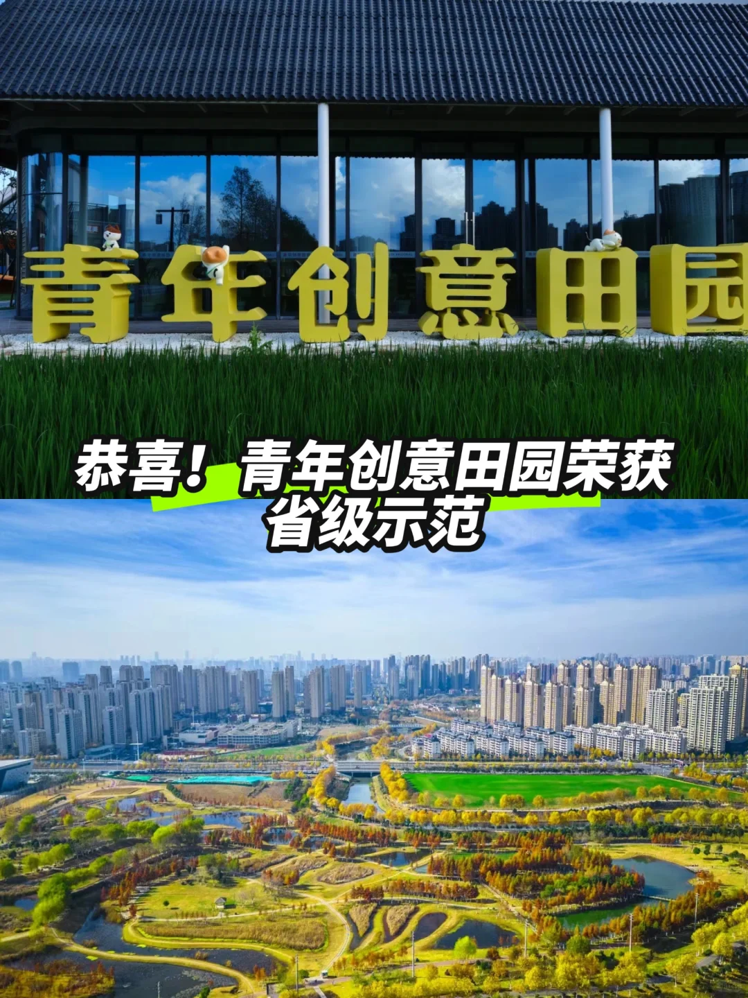 恭喜！青年创意田园荣获省级示范！✨