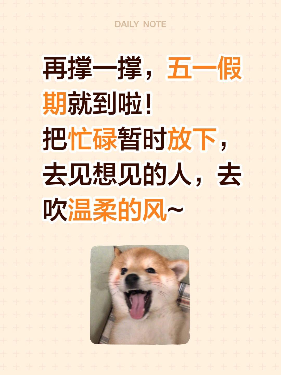 再撑一撑，五一假期就到啦！
把忙碌暂时放下，去见想见的人，去吹温柔的风~