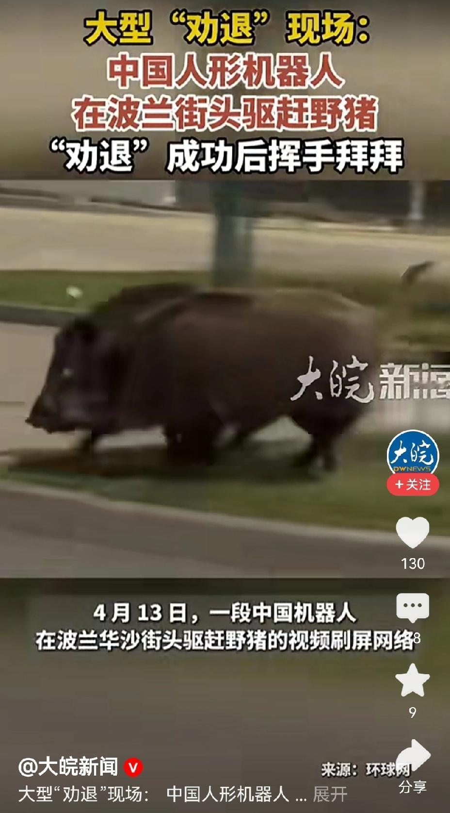 【中国人形机器人在波兰城区驱赶野猪效果非常好】最近一段中国人形机器人在波兰街头赶
