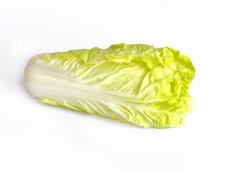 豆腐能和白菜一起吃，而且是绝佳搭配。豆腐高蛋白、低脂肪，还富含钙质，对骨骼健康好