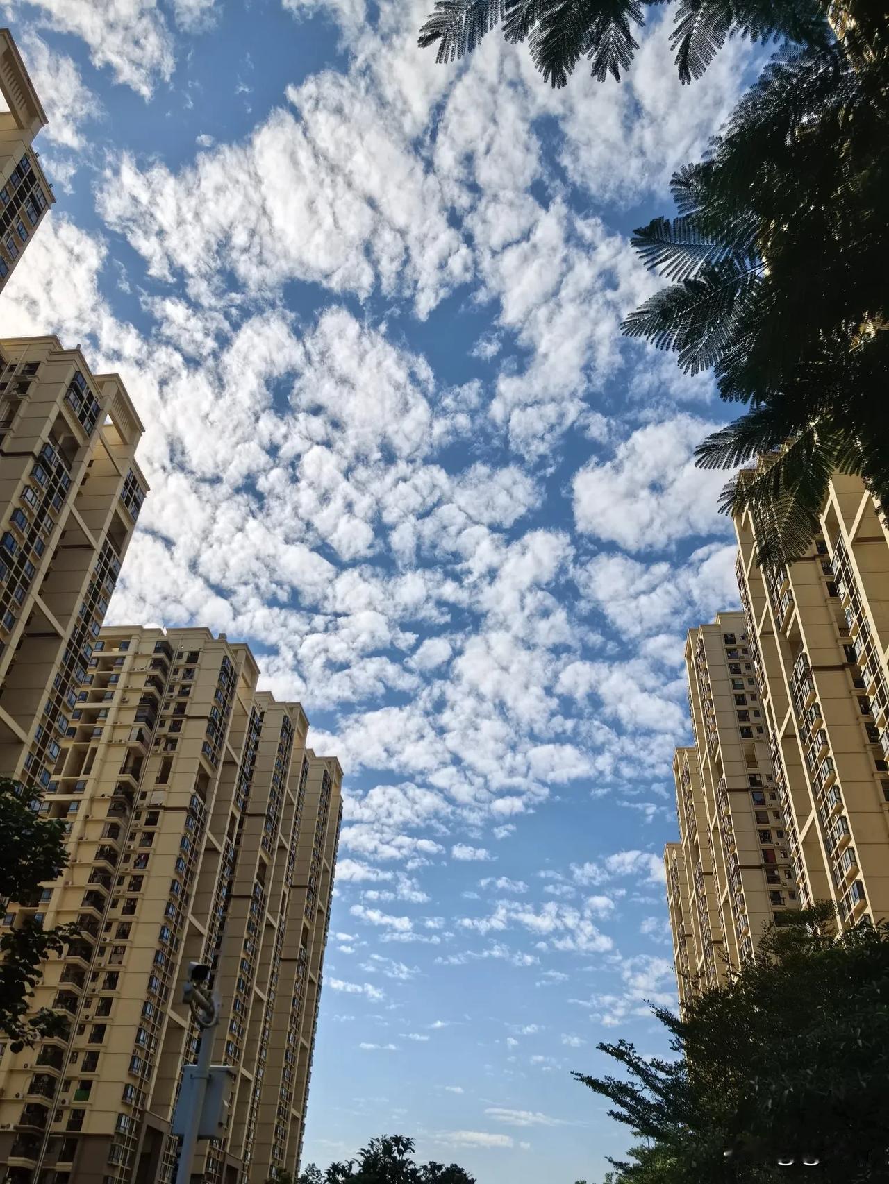 你镜头下的广州天空是什么样子?向往所有一切的蓝天白云。

天气很好，记得要微笑。