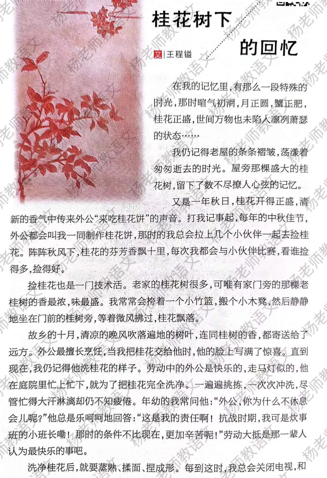借物抒情 亲情主题 意象虽普通但有巧思☘️