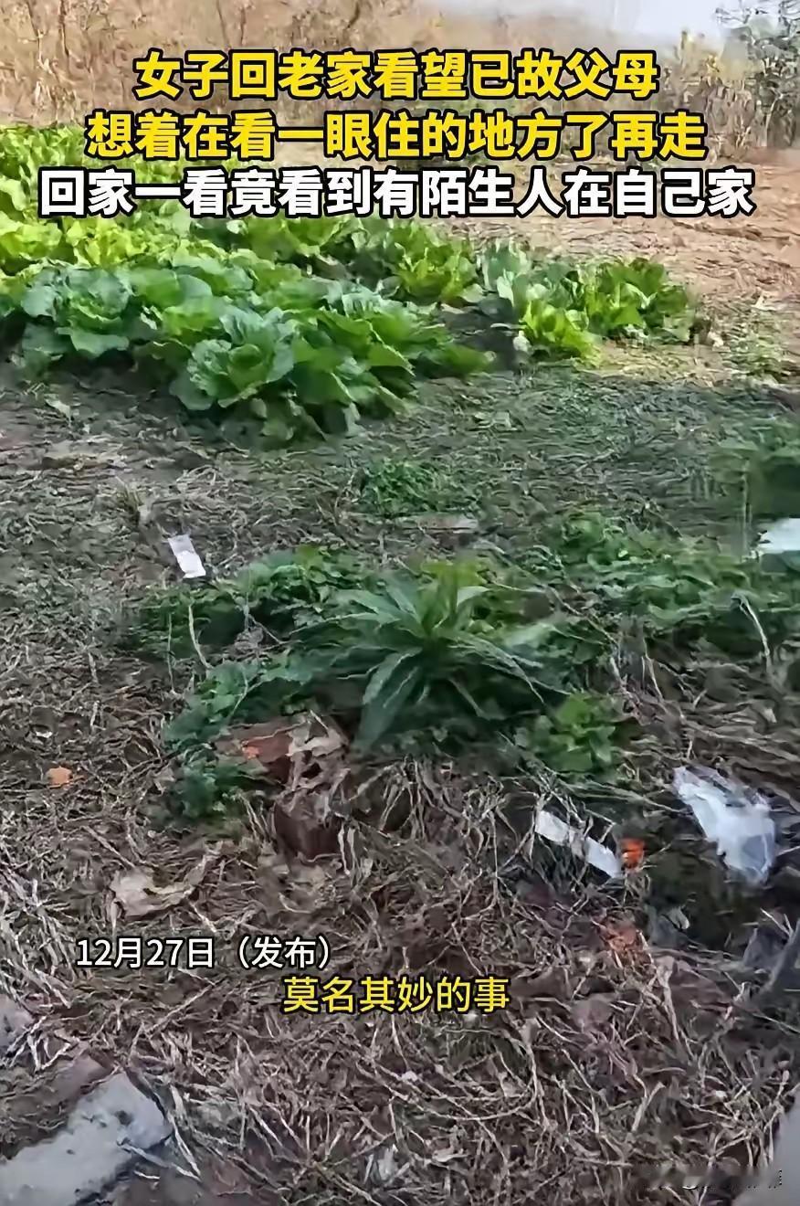 太离谱了，女子趁着假期回乡下给父母上坟，结果，却发现老家房子门开着，她以为是自己