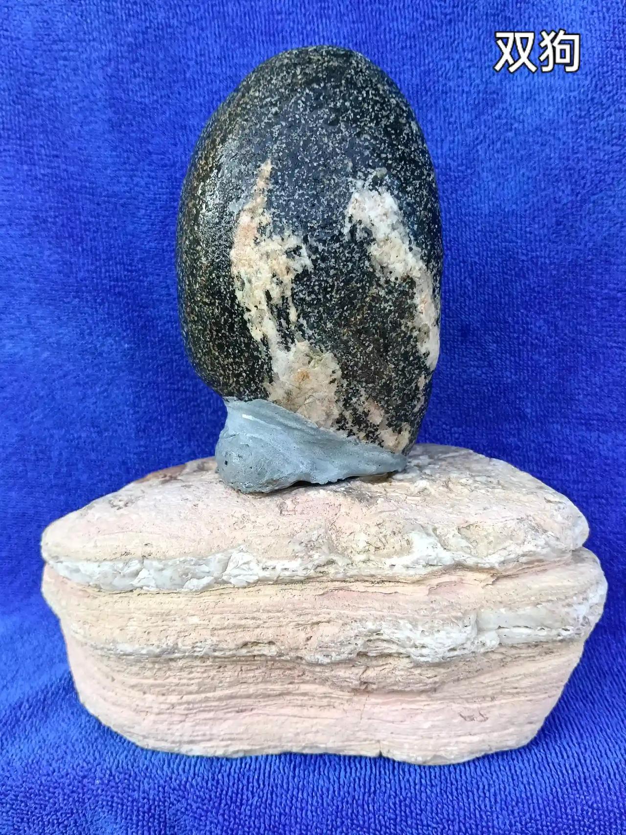 龙师好
欣欣欣赏这方奇石旺财情怀