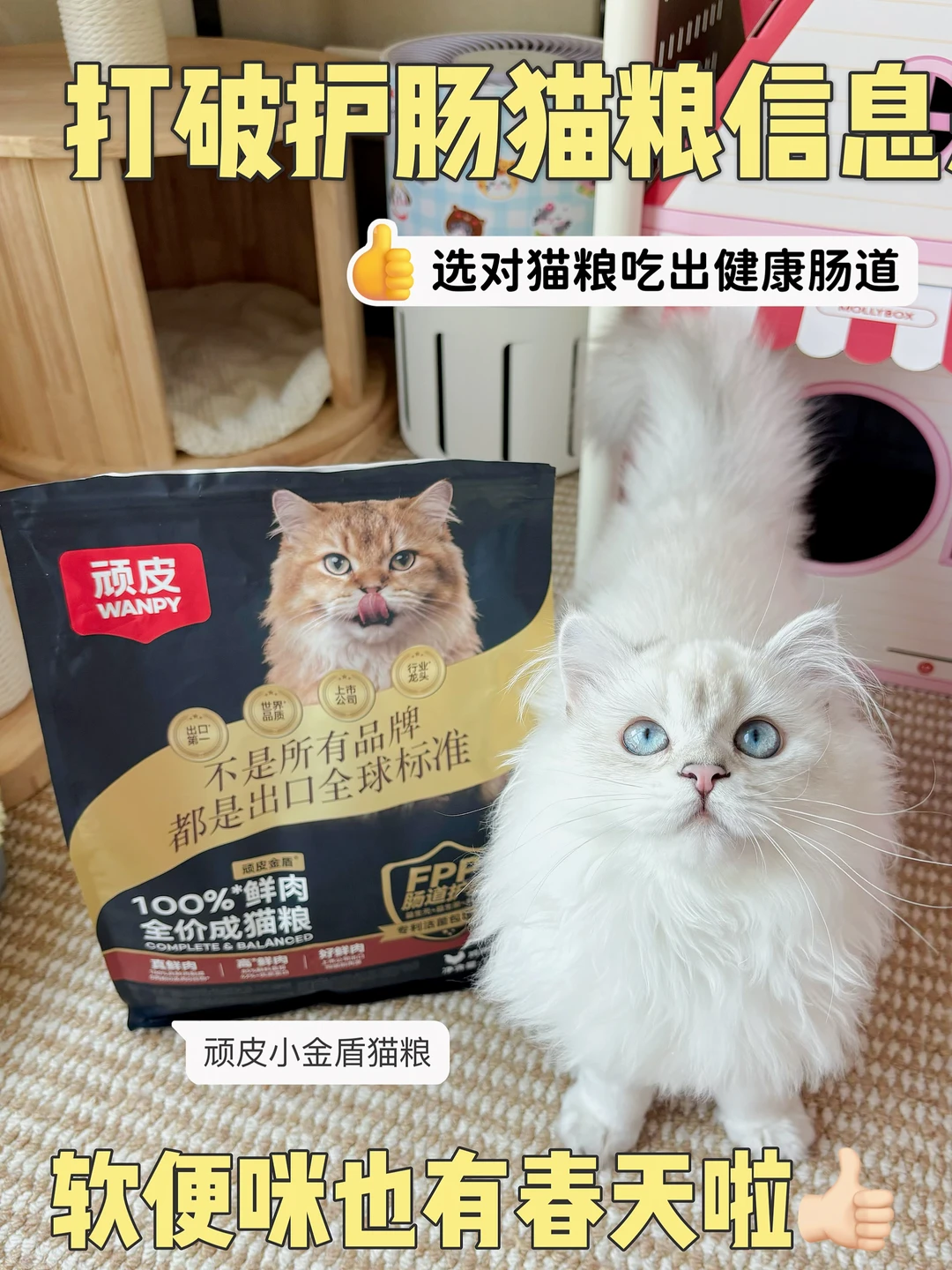 喜报！我拿下618 对我家软便猫最有用的单品