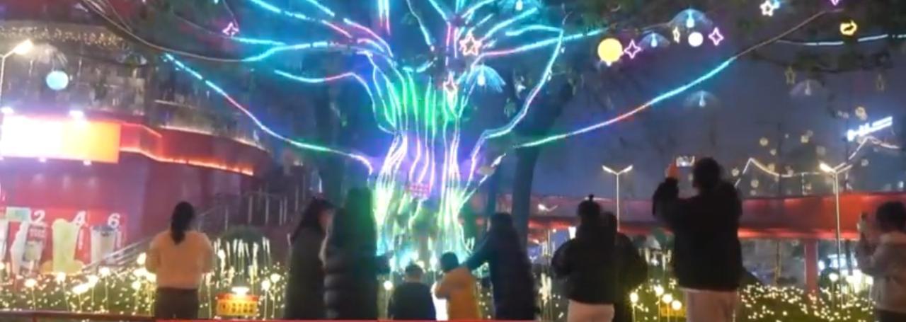 第一张图中，夜色里的街头亮起五彩的光影树，蓝绿紫的光线如枝蔓般舒展，人群驻足观赏