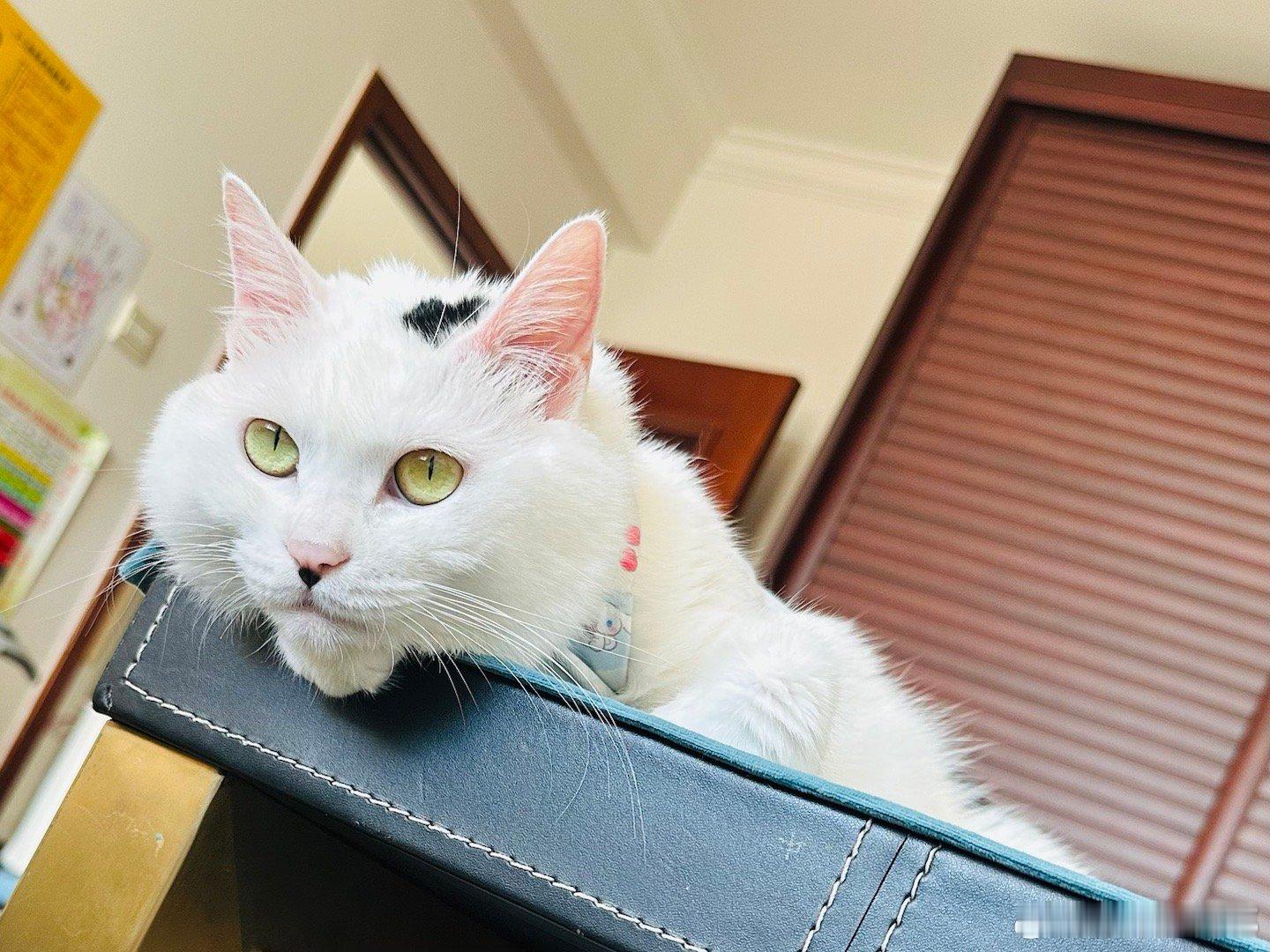 富在数术，不在力耕。 ​​​