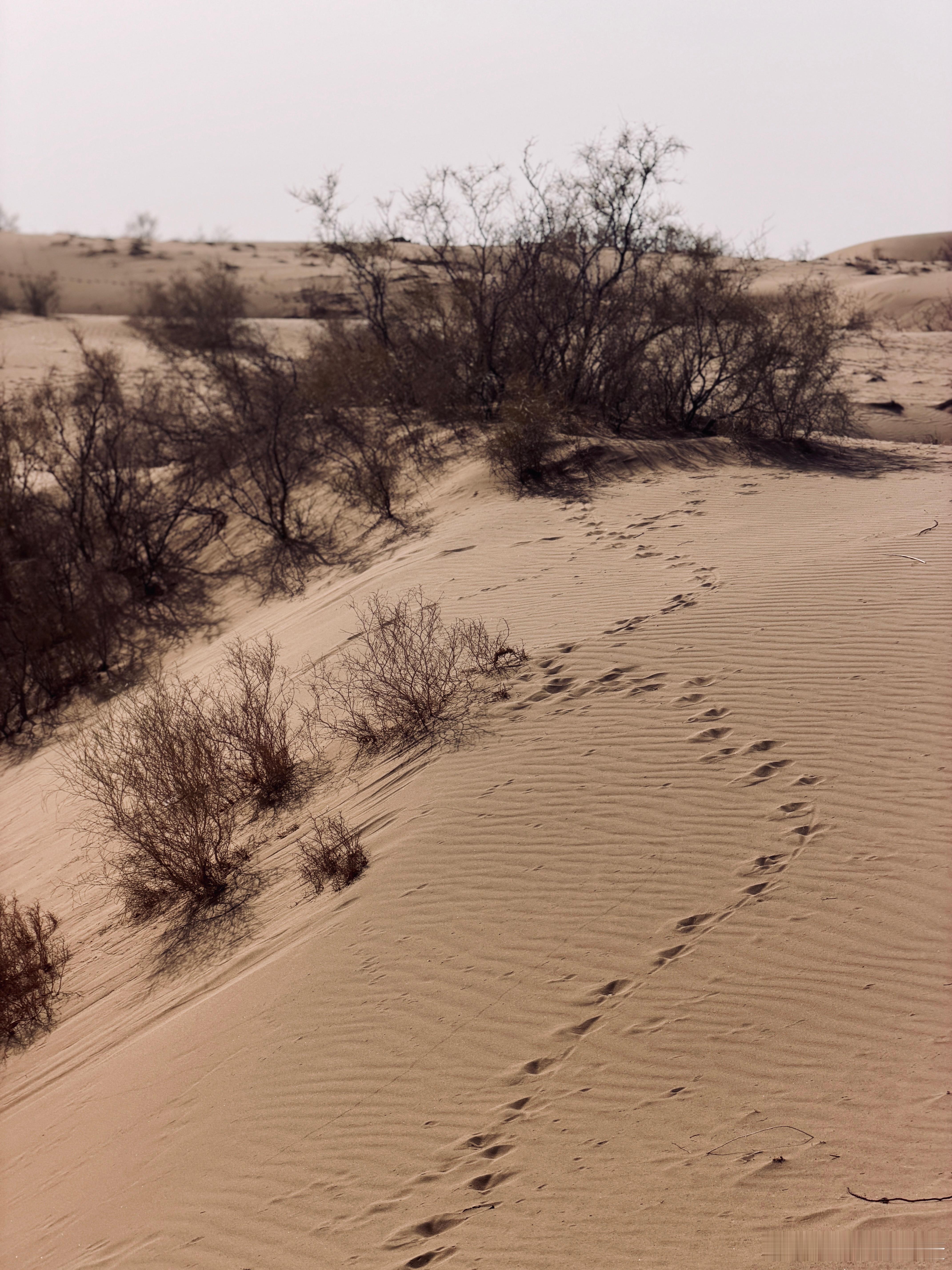 生活本就千头万绪，真正重要的，是这些“线头”以什么样的方式去编织完整的“布匹”。