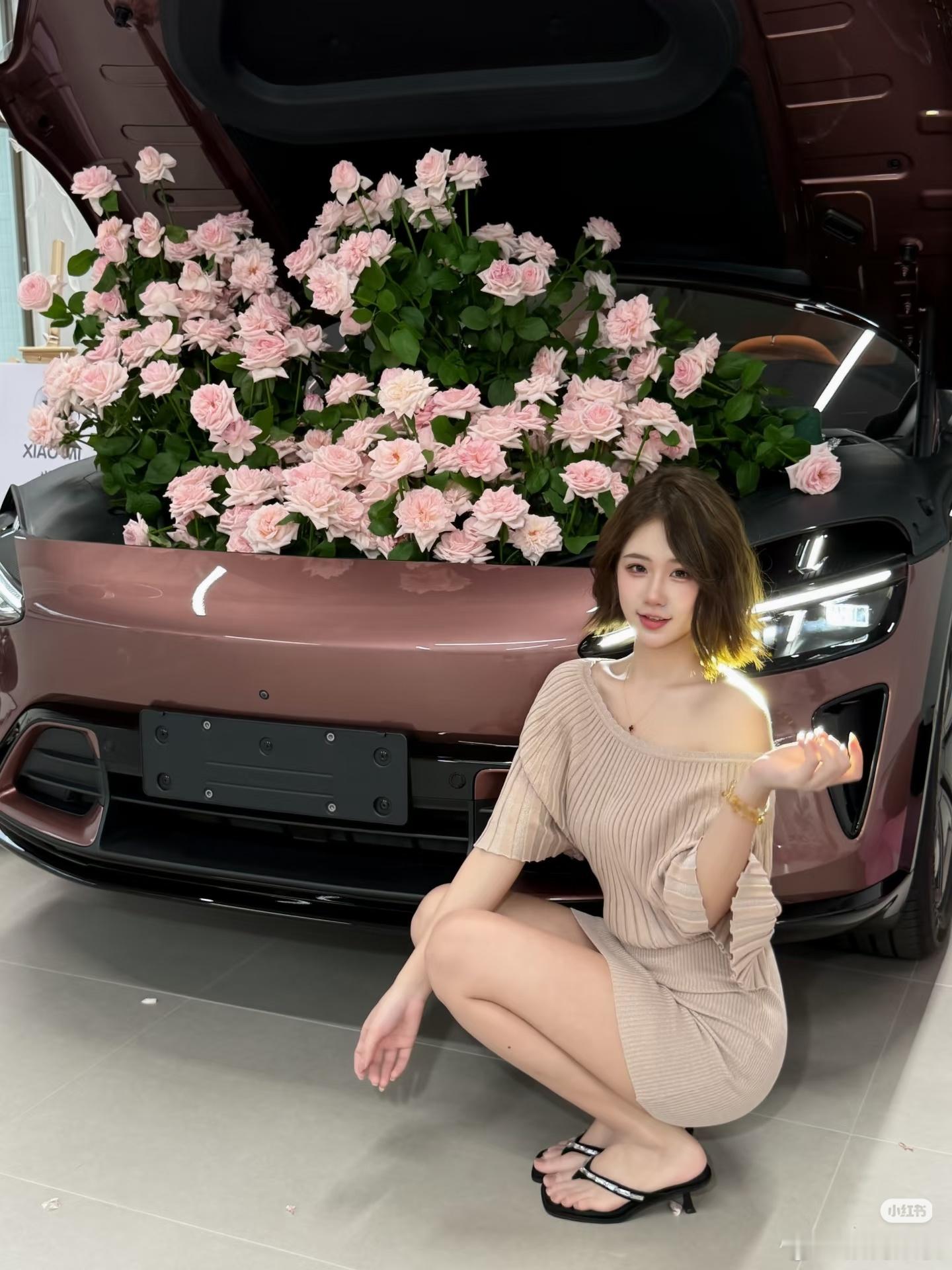 晚安猫窝每日晚安小米yu7