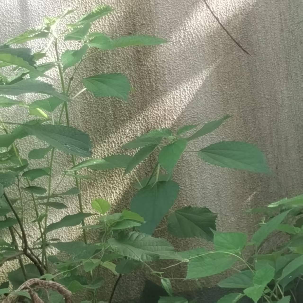 一个人困在不知如何玩乐中，也是件折磨人的事。

朋友打来电话，邀我一同出游，说，