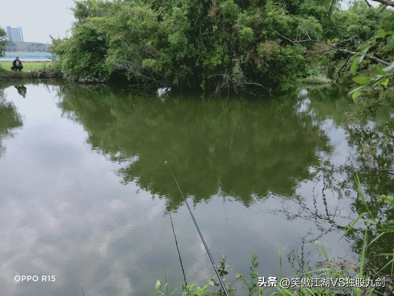 天天坐河边钓鱼，呼吸新鲜空气，其实炒股和钓鱼是一样的，选股如同选钓点，饵料渔线鱼