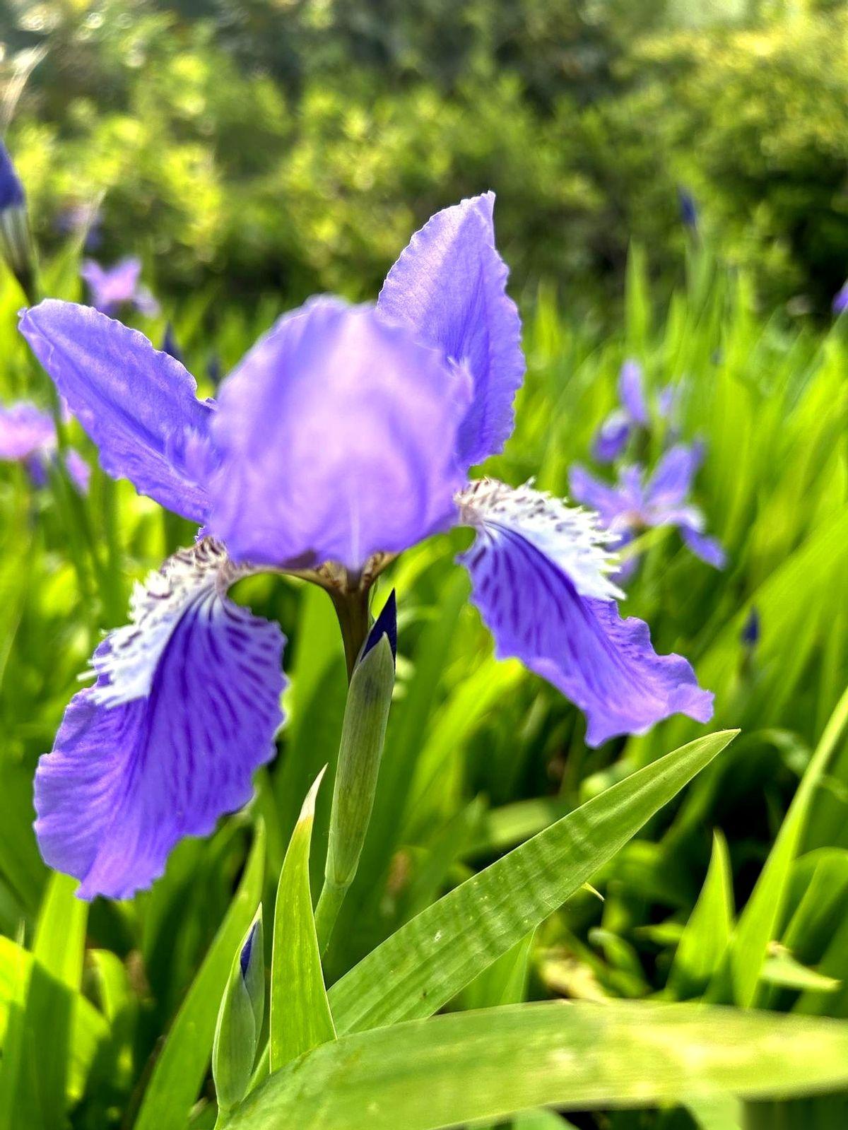 去侄子家吃饭，他一句话，我端着茶杯的手直接停在半空。
他说：“叔，我俩的钱，分的