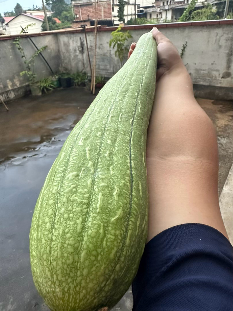 城巴佬这个是啥？见识到三伏天的厉害了