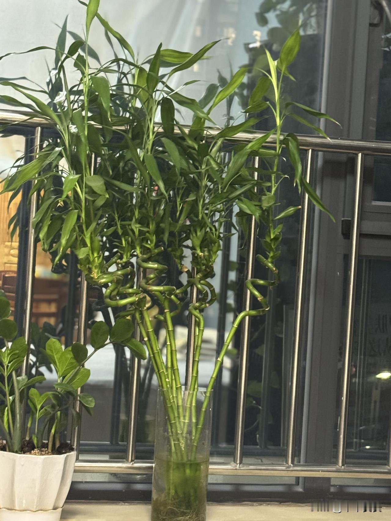 生活里总有猝不及防的尴尬瞬间，现在回想起来还忍不住脸红。

那天出门买东西，远远