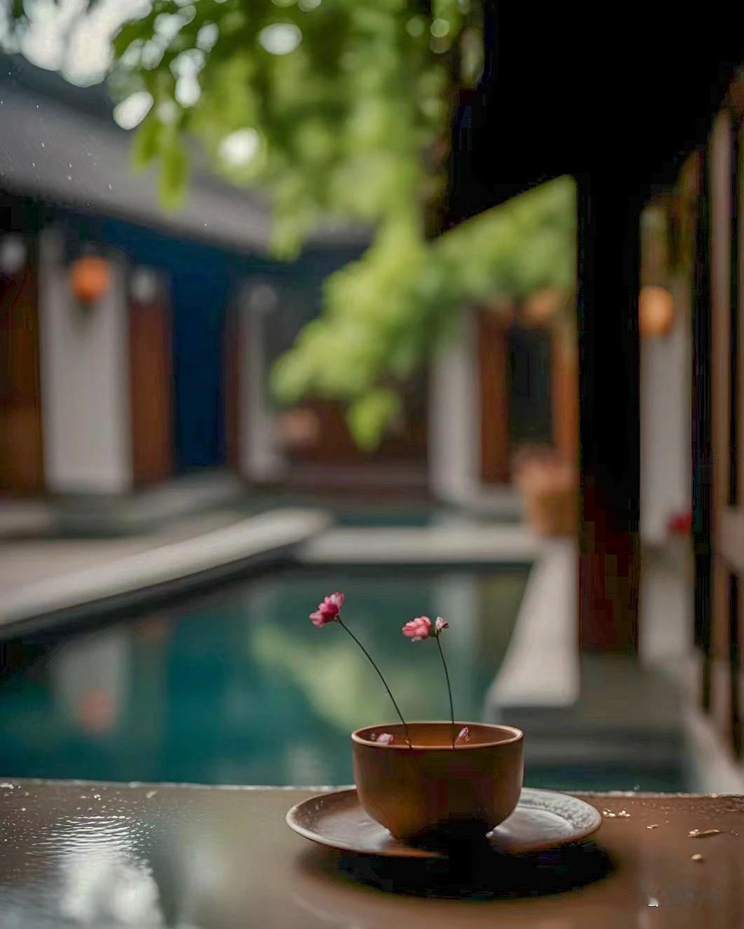 囿于市井，面向山海，远隔巷弄，且看花开。